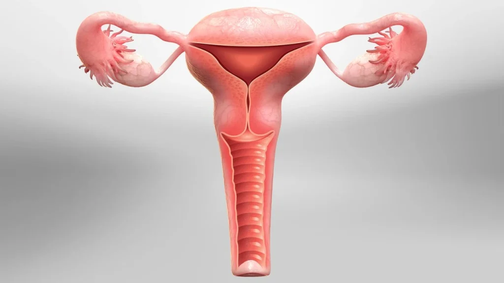 hystrectomy images
